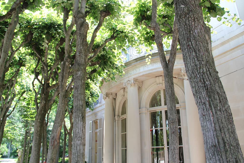 The linden grove